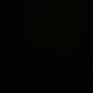 Meet your Posher, Veronika